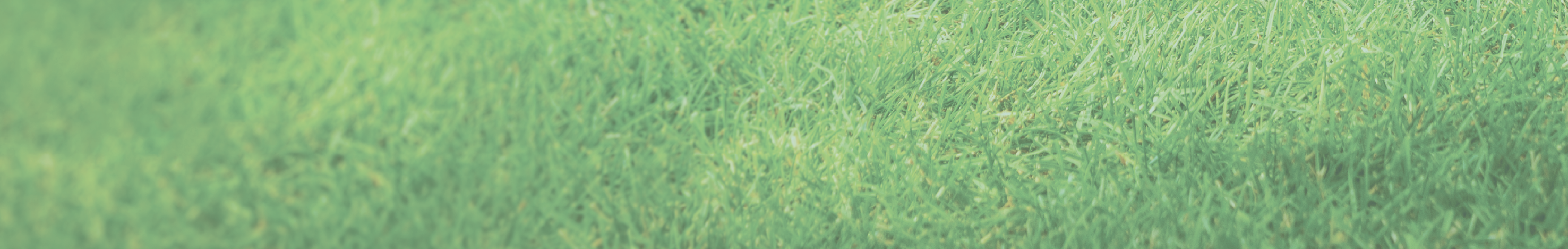 Artificial Grass