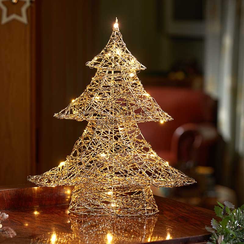 Gold Weave Wondertree 40cm