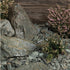 Craig Green Rockery 250mm