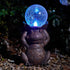 Gazing Frog