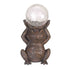Gazing Frog