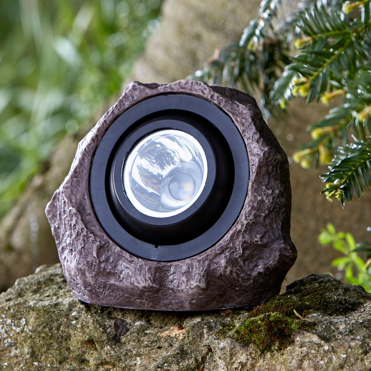 Jumbo 15L Rock Light