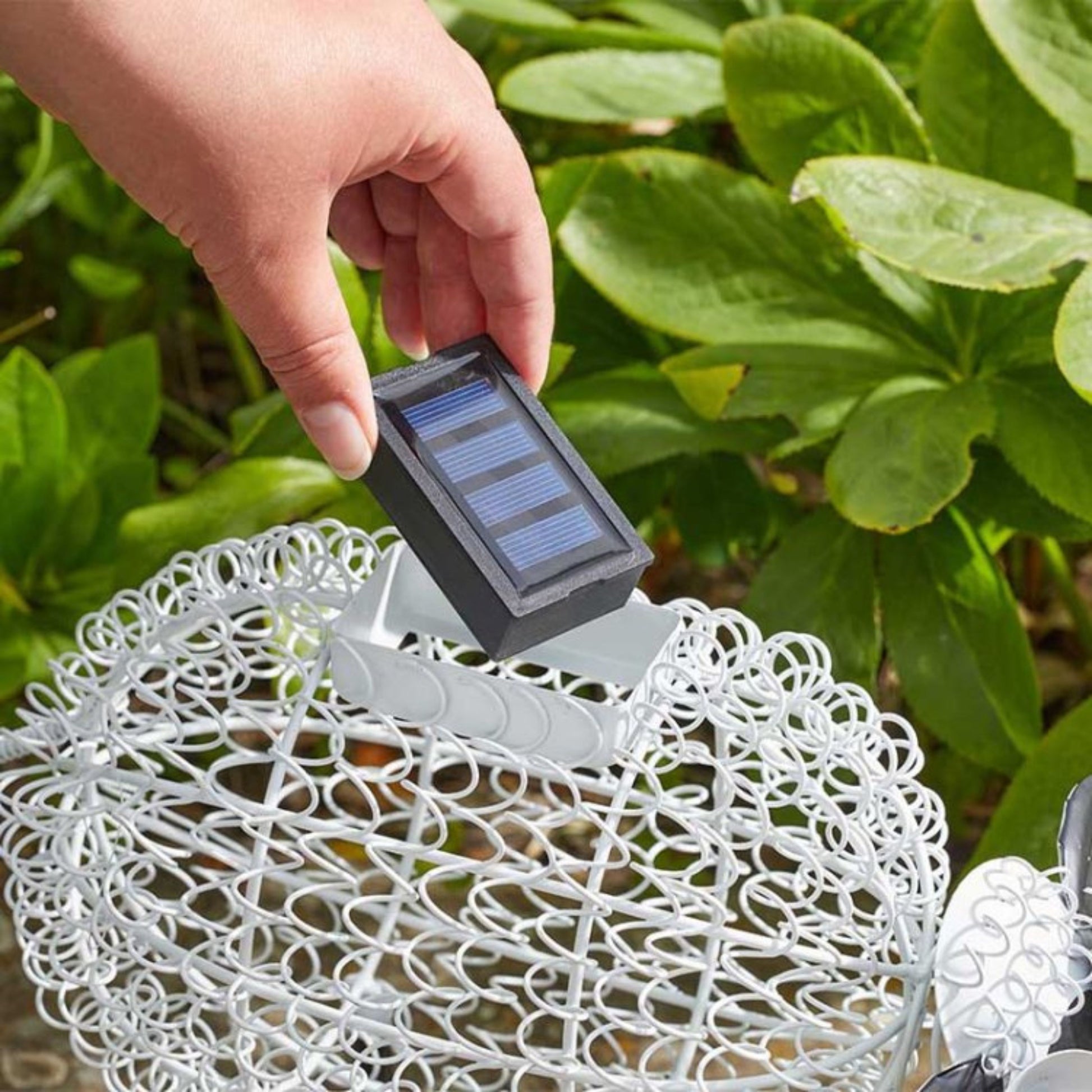 Solar Powered Light Box