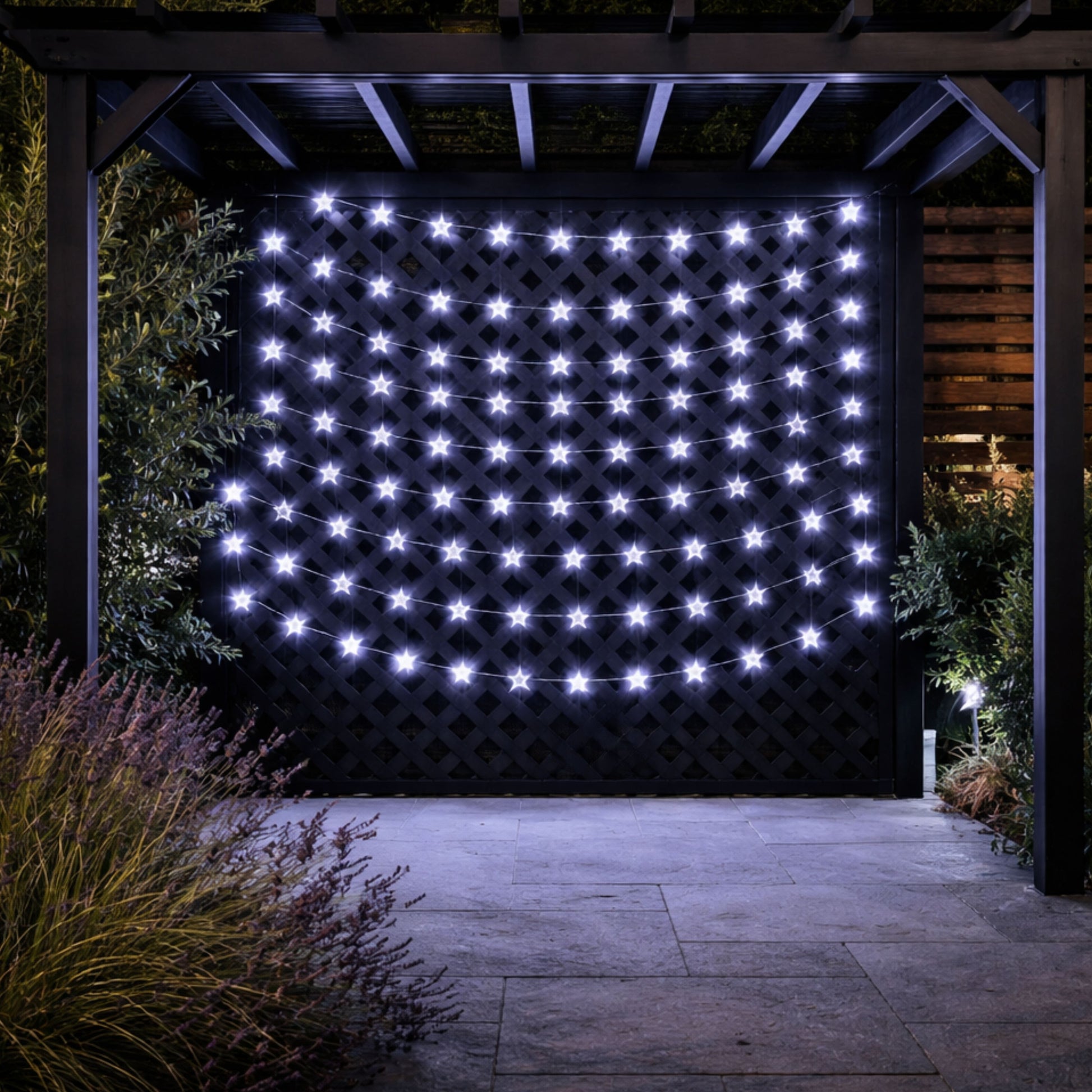 100 Super Bright Stars 15L