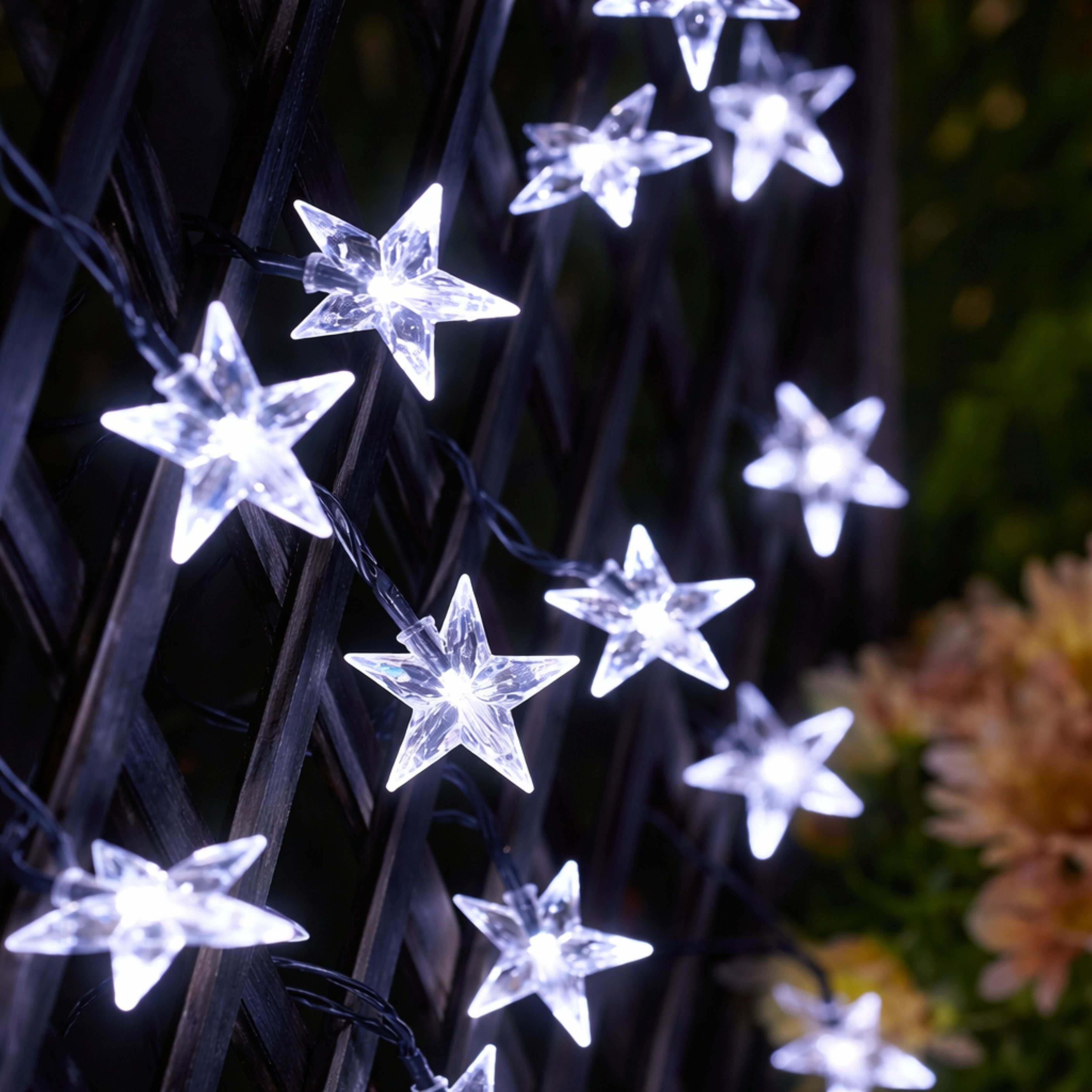 Star-shaped string lights on a dark background with blurred greenery and flowers.