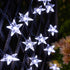 Star-shaped string lights on a dark background with blurred greenery and flowers.