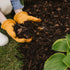 Westland Decorative Mini Bark 70L