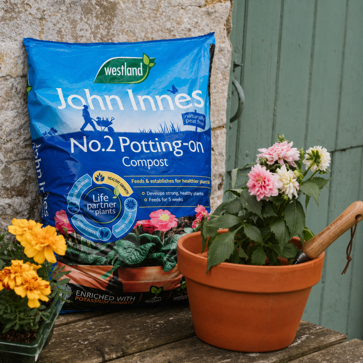 Westland John Innes Peat Free No.2 Potting-on Compost 28L