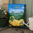 Westland John Innes Peat Free No.3 Mature Plant Compost 28L