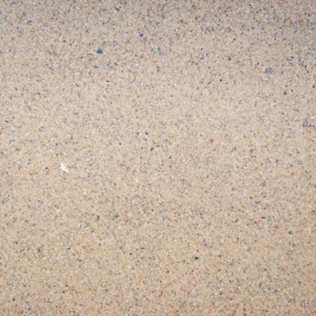 Kiln Dried Sand