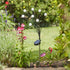 8 Stem GloGlobes Cool White