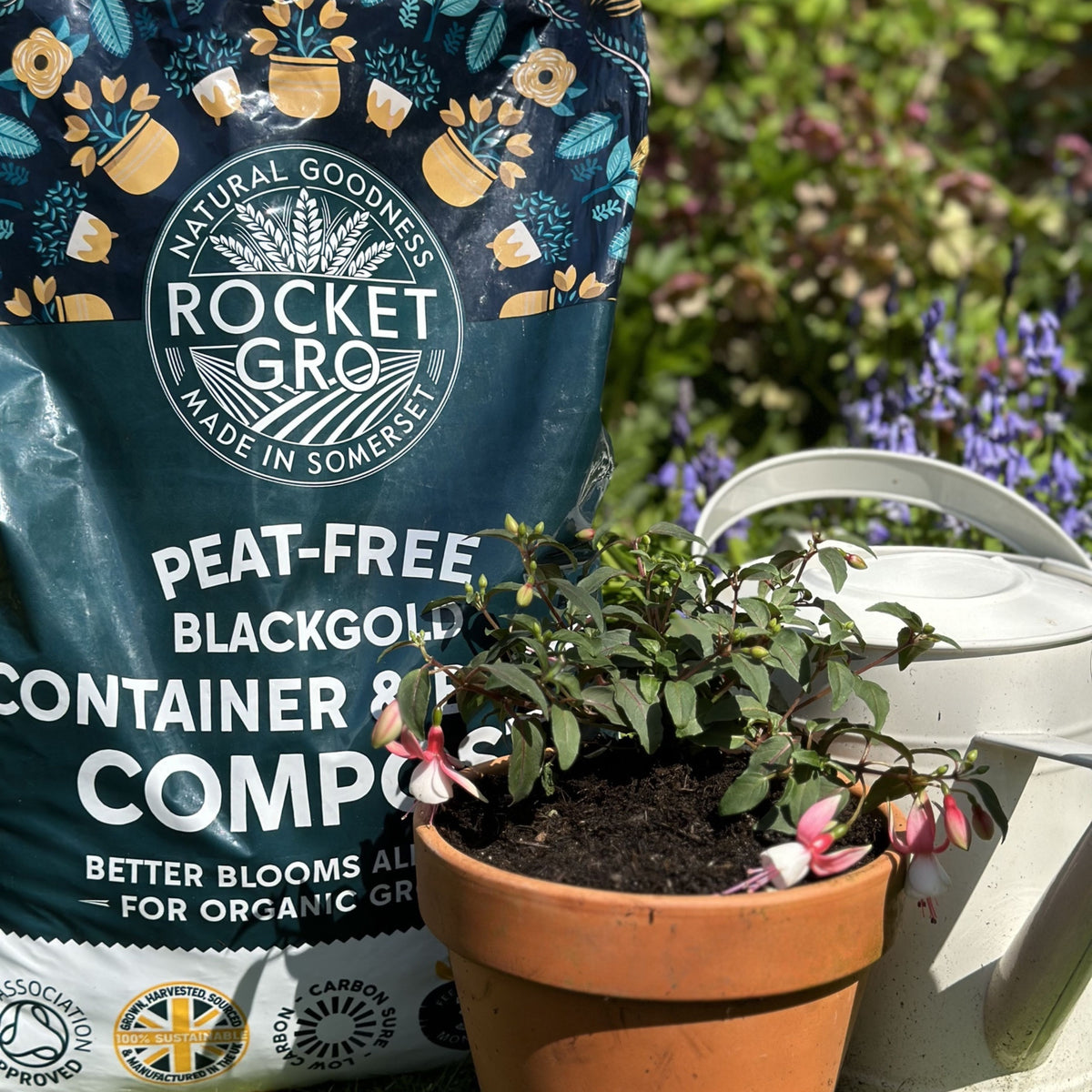 RocketGro Container & Basket Compost Peat Free 40L | Enriched Compost ...