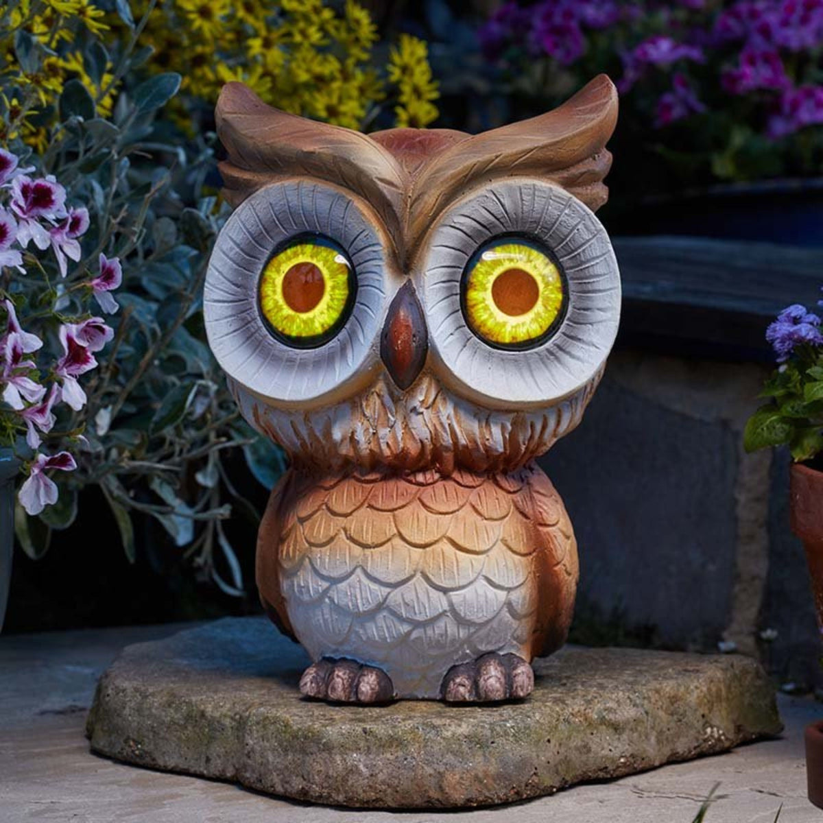 Owl Eyes
