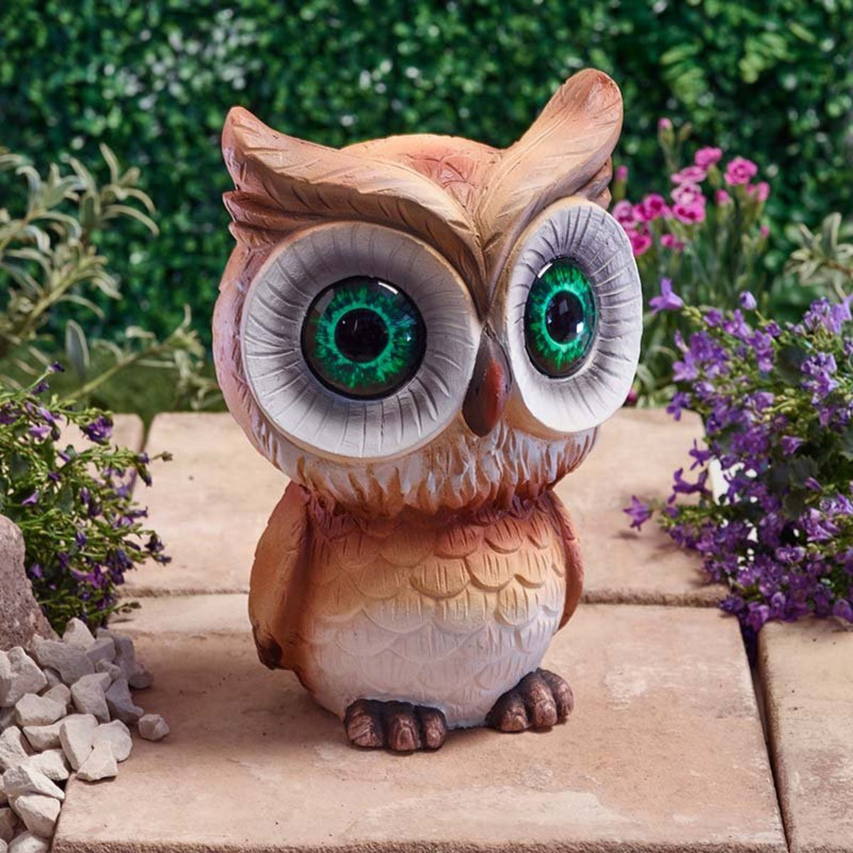 Owl Eyes