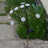 8 Stem FloraLights Stake Light