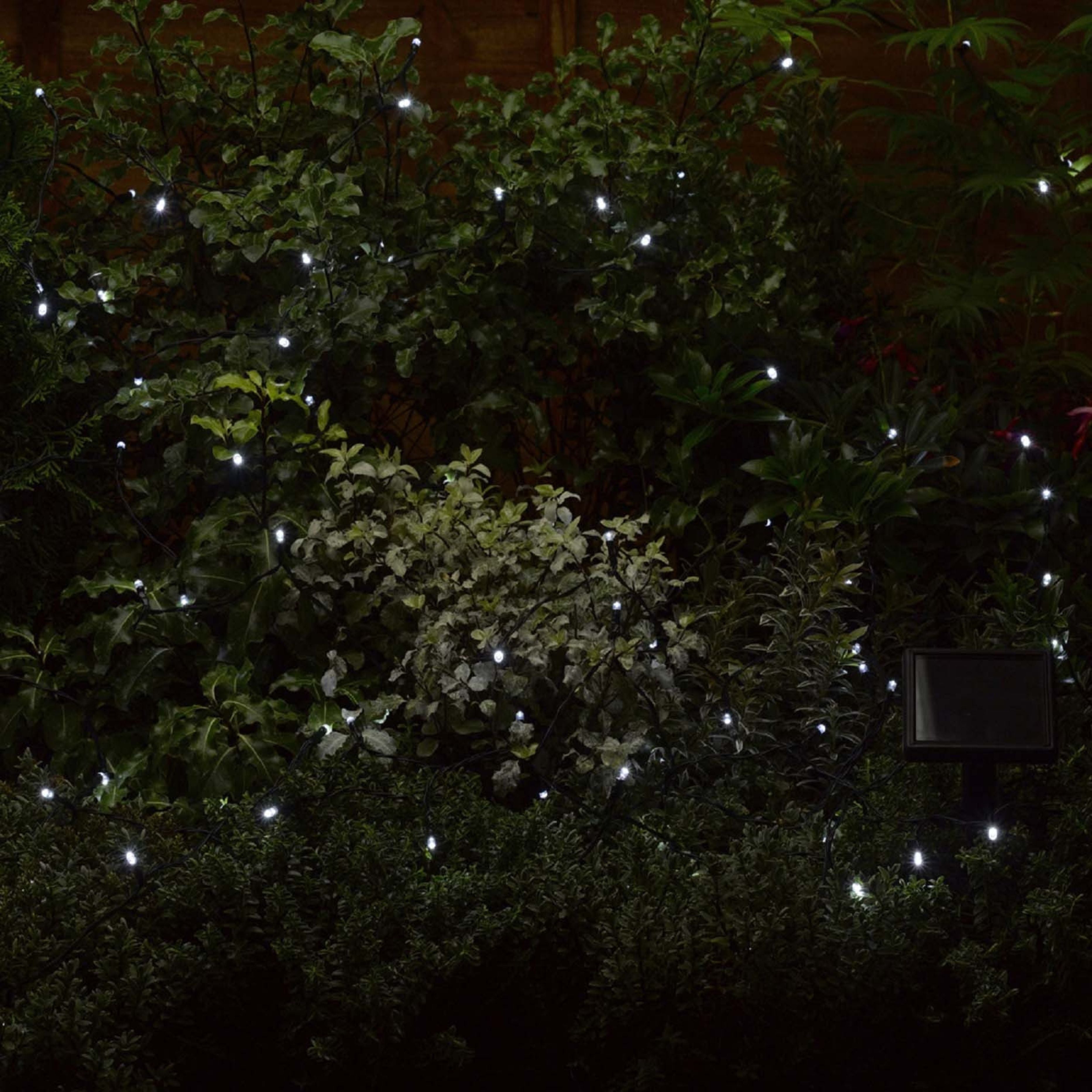 Solar Strings Cool White String Lights