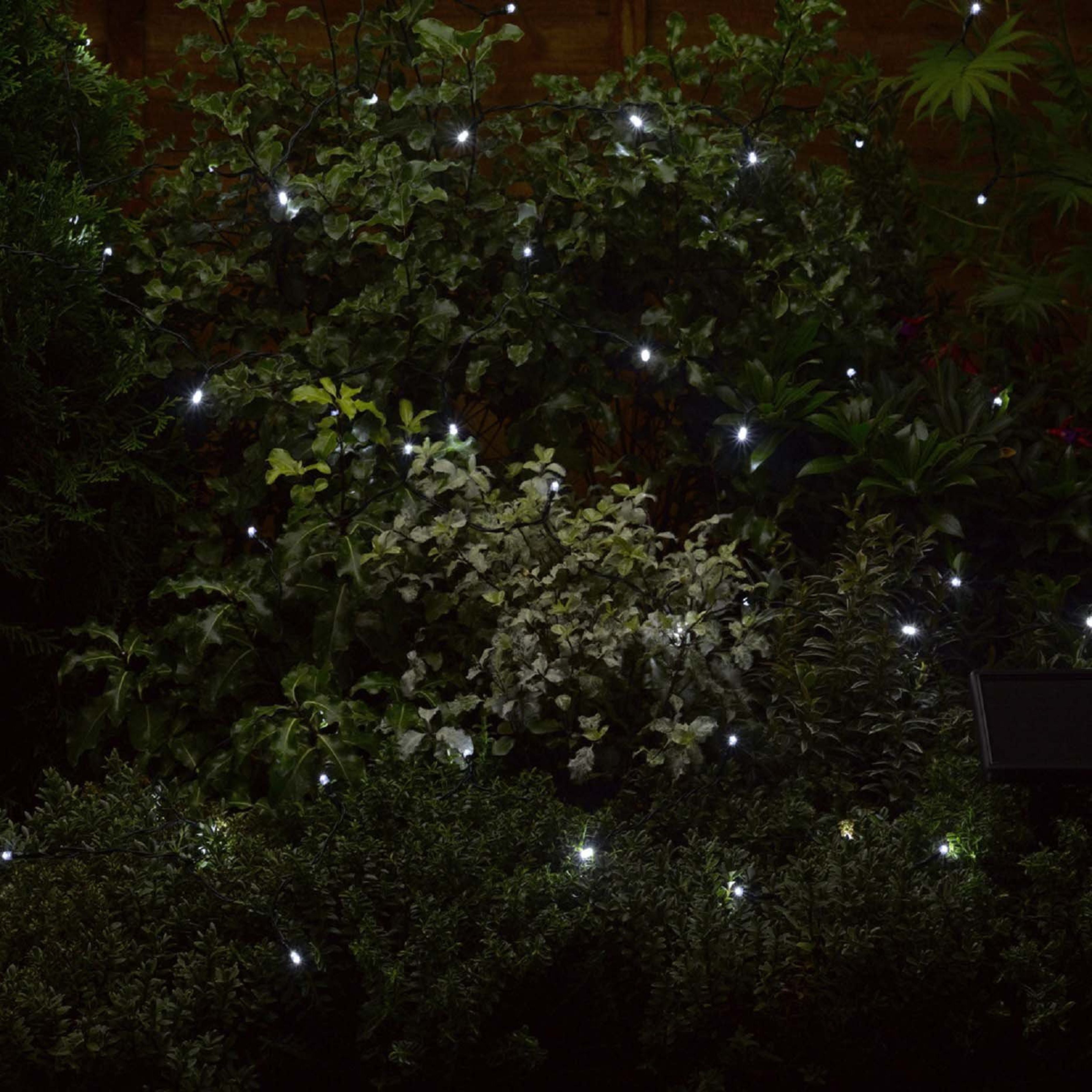 Solar Strings Cool White String Lights