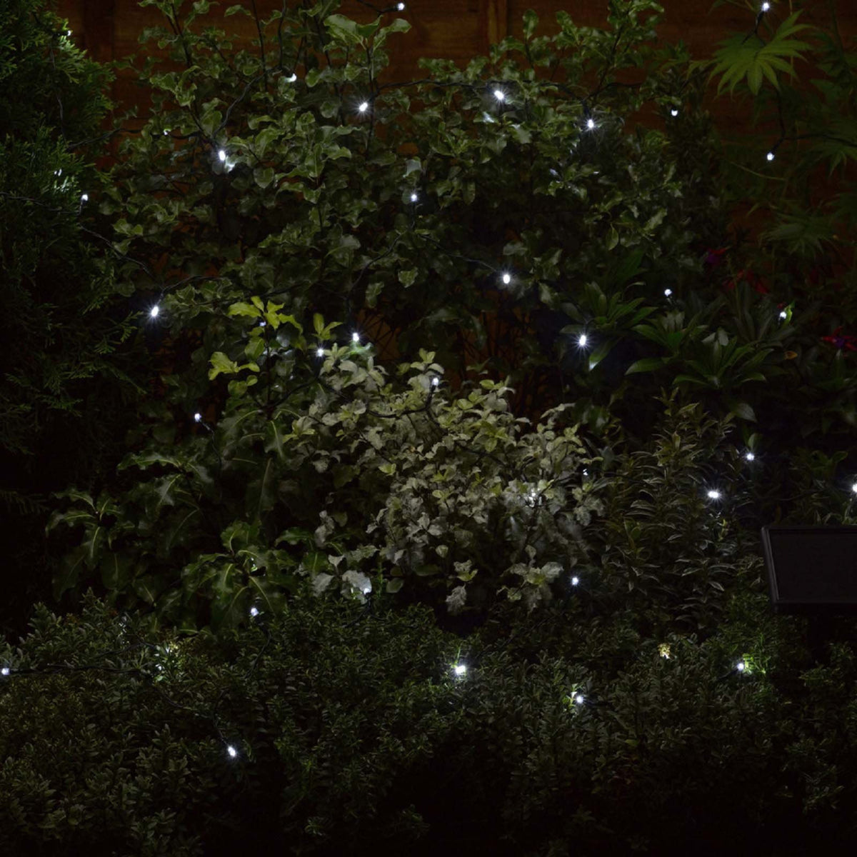 Solar Strings Cool White String Lights
