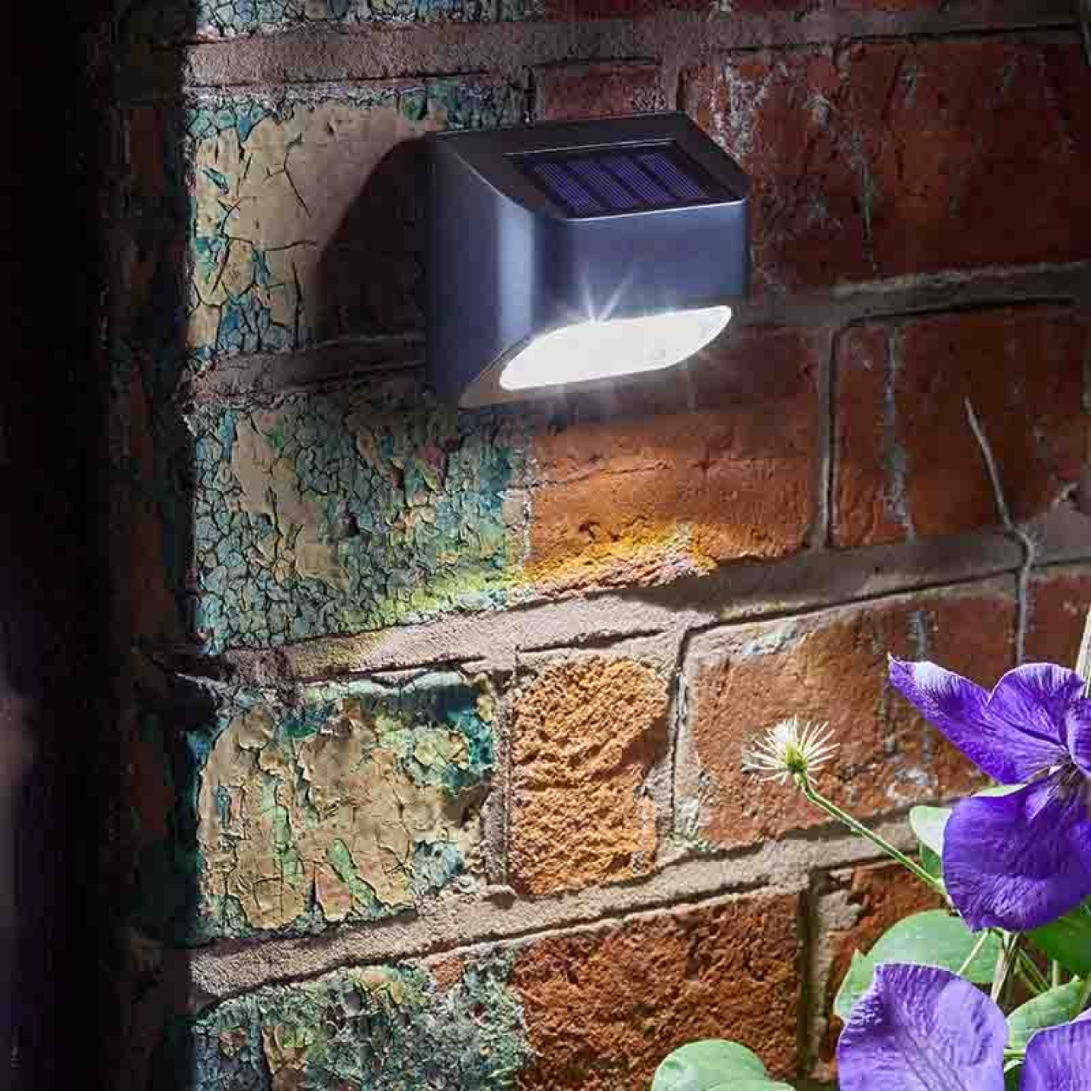 10L Premier Fence, Wall & Post Light