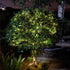 Firefly String Lights - 50 ww LEDs