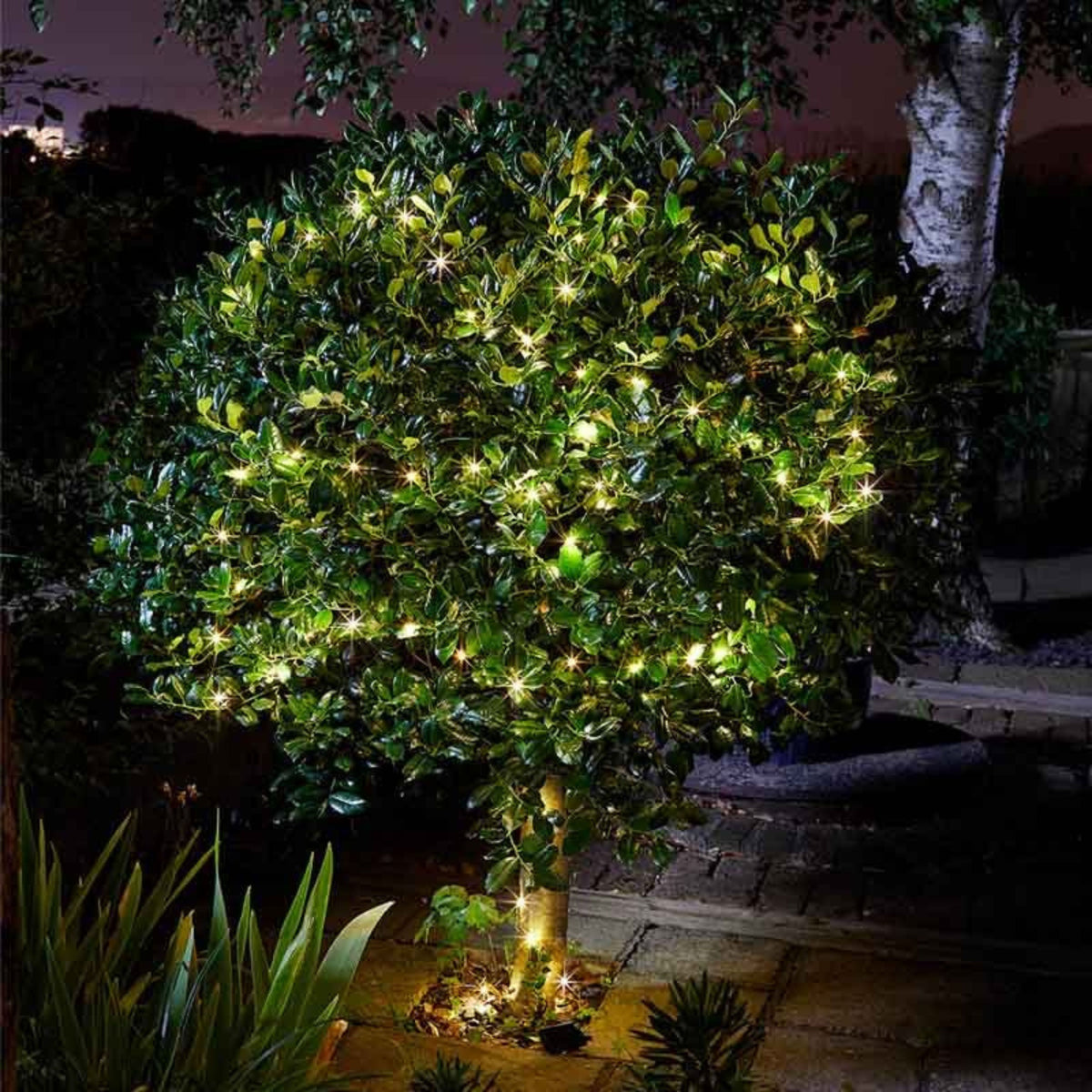 Firefly String Lights - 50 ww LEDs