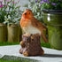 Robin Song