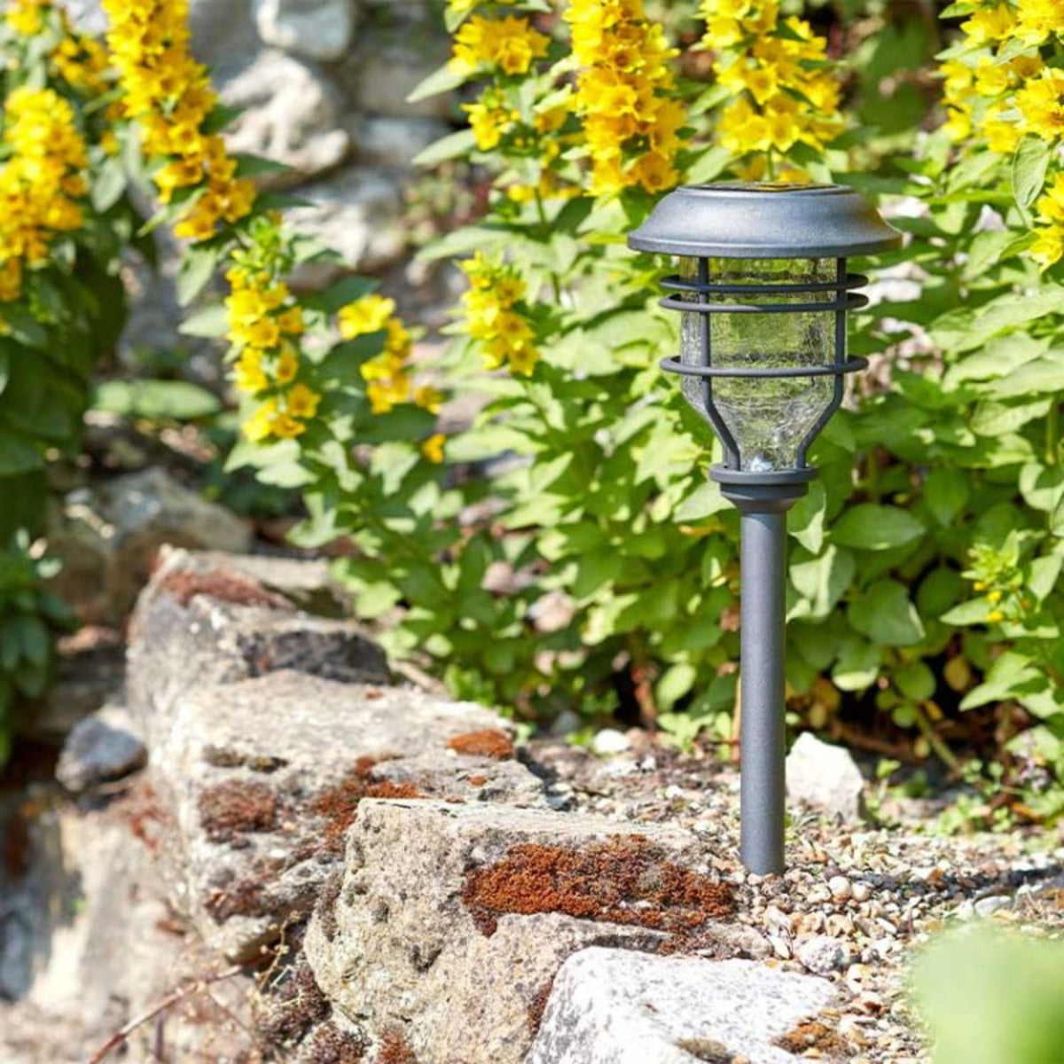 Capri Stake Light 10L