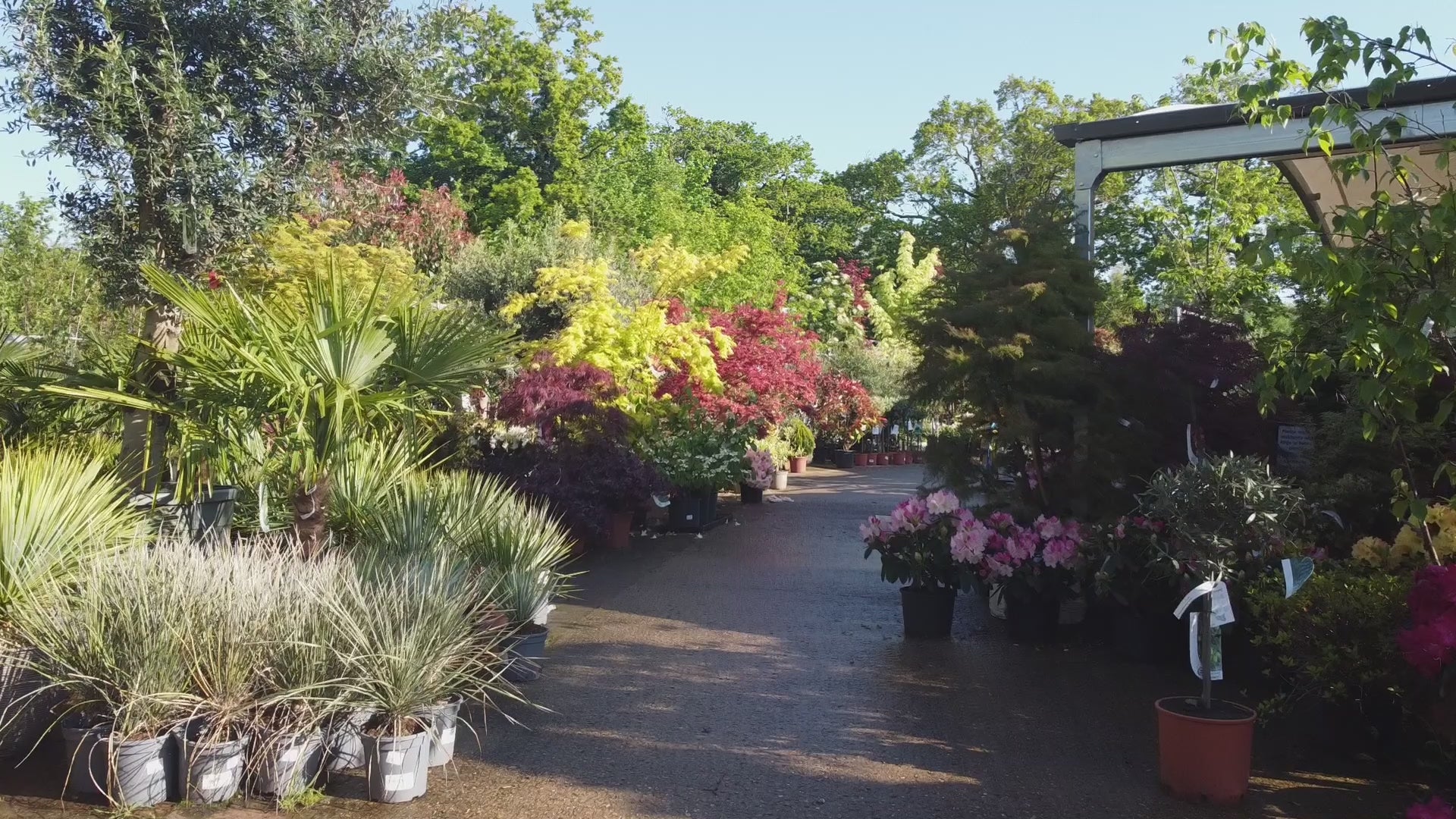 Video of the plant area at Chessington Garden Centre
